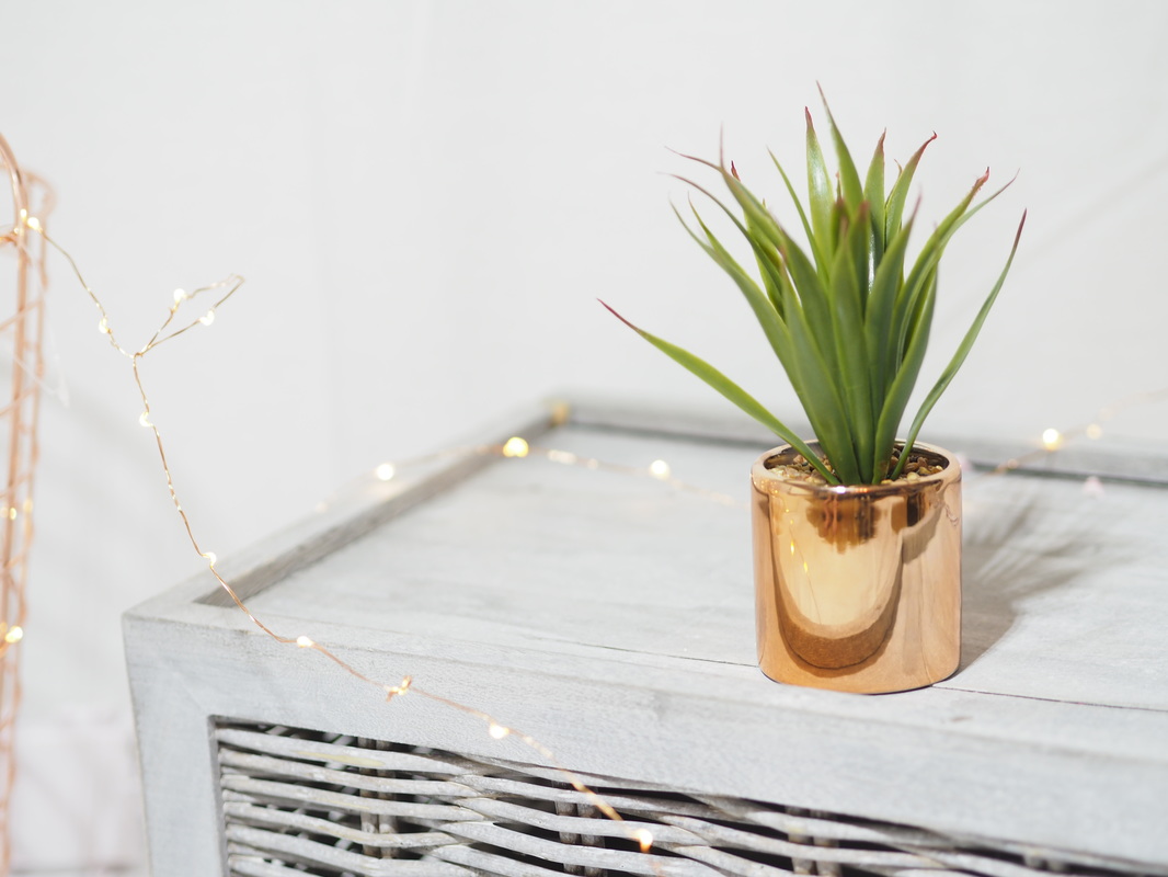 New Look Wish List - Look guide with homewear, rose gold clothing new in, shoes new in, new light box, look rose gold plant, new look homewear review,